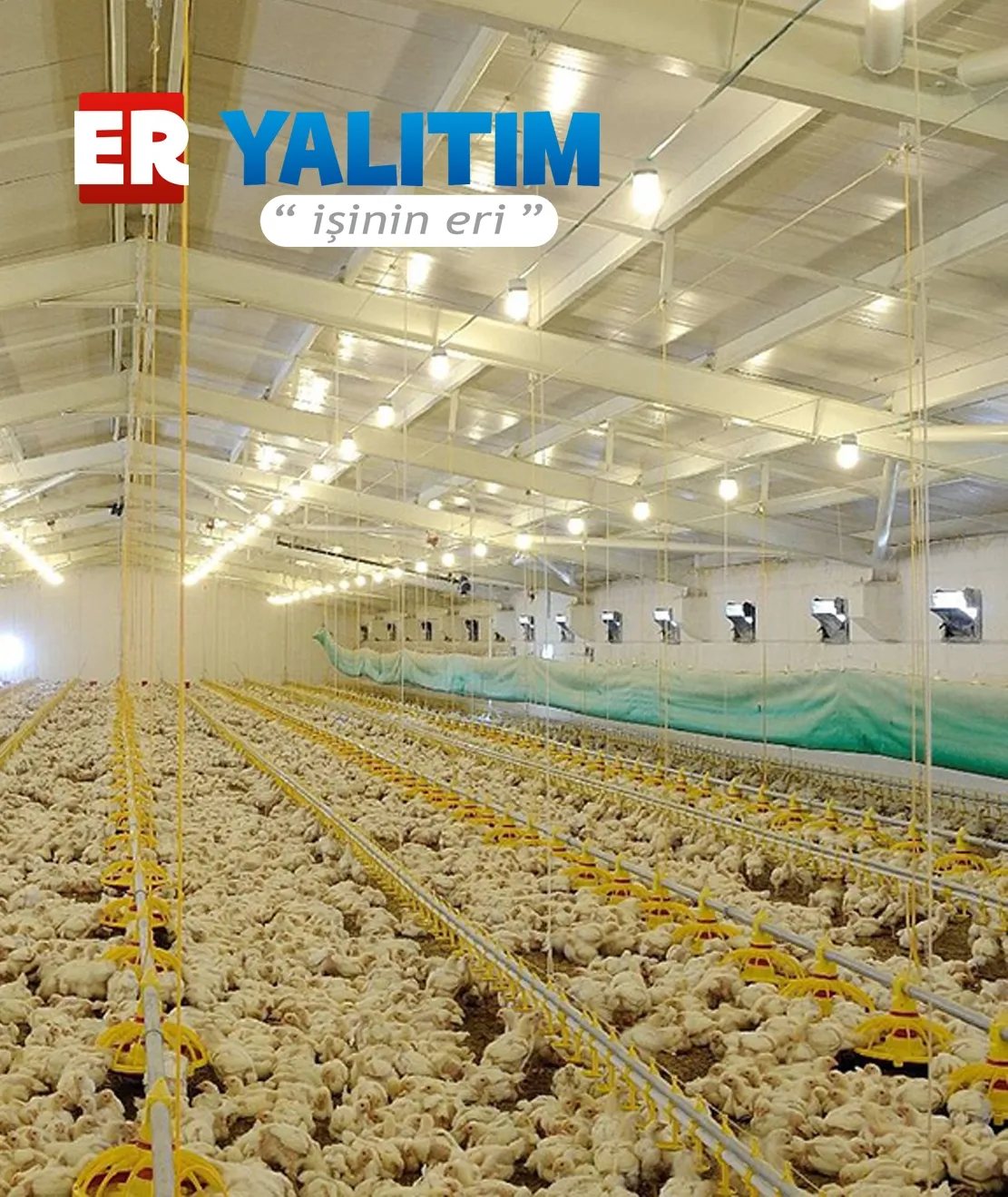 Alanya Hayvan Barınağı İzolasyon